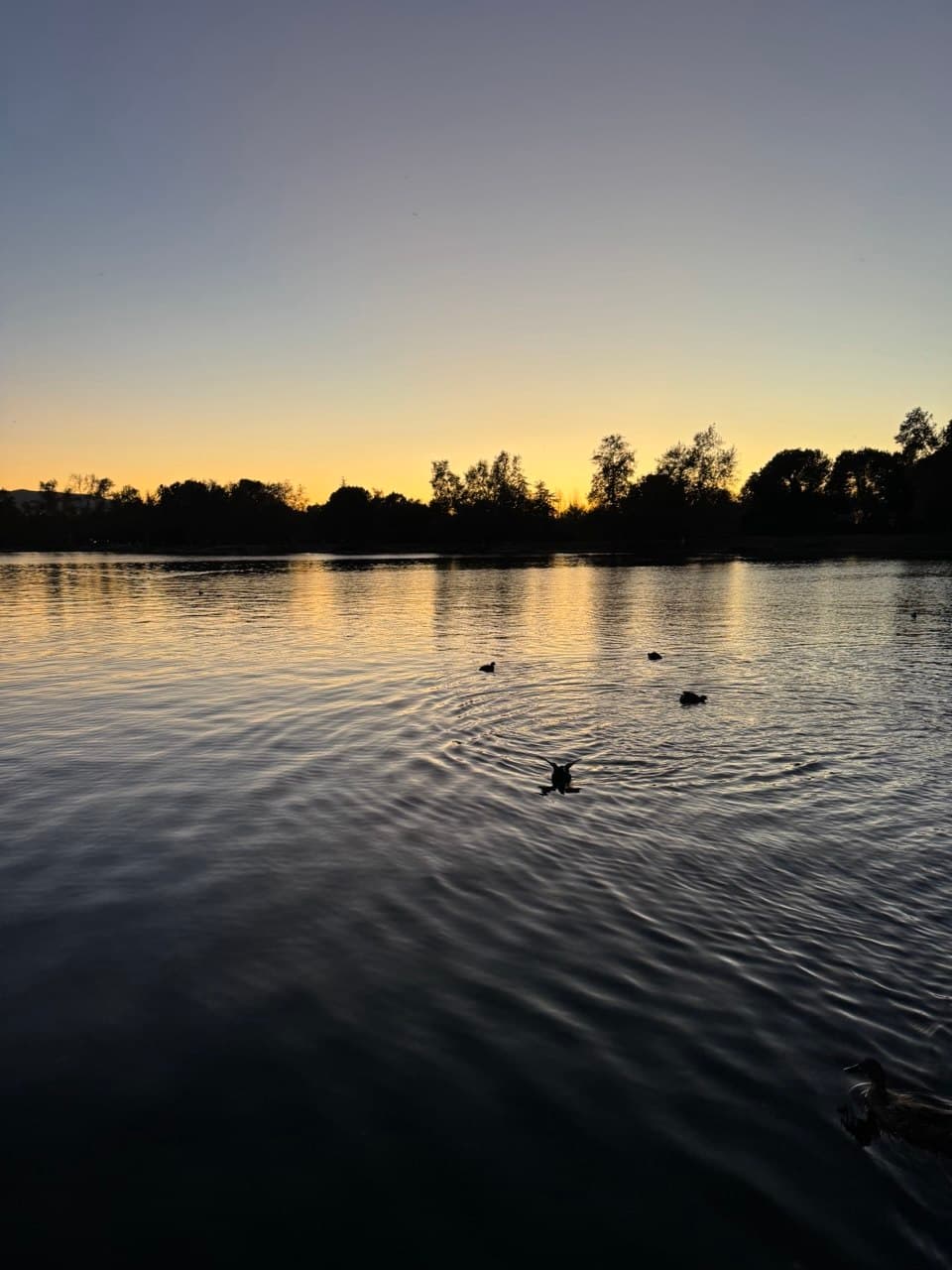 Sunset over the lake